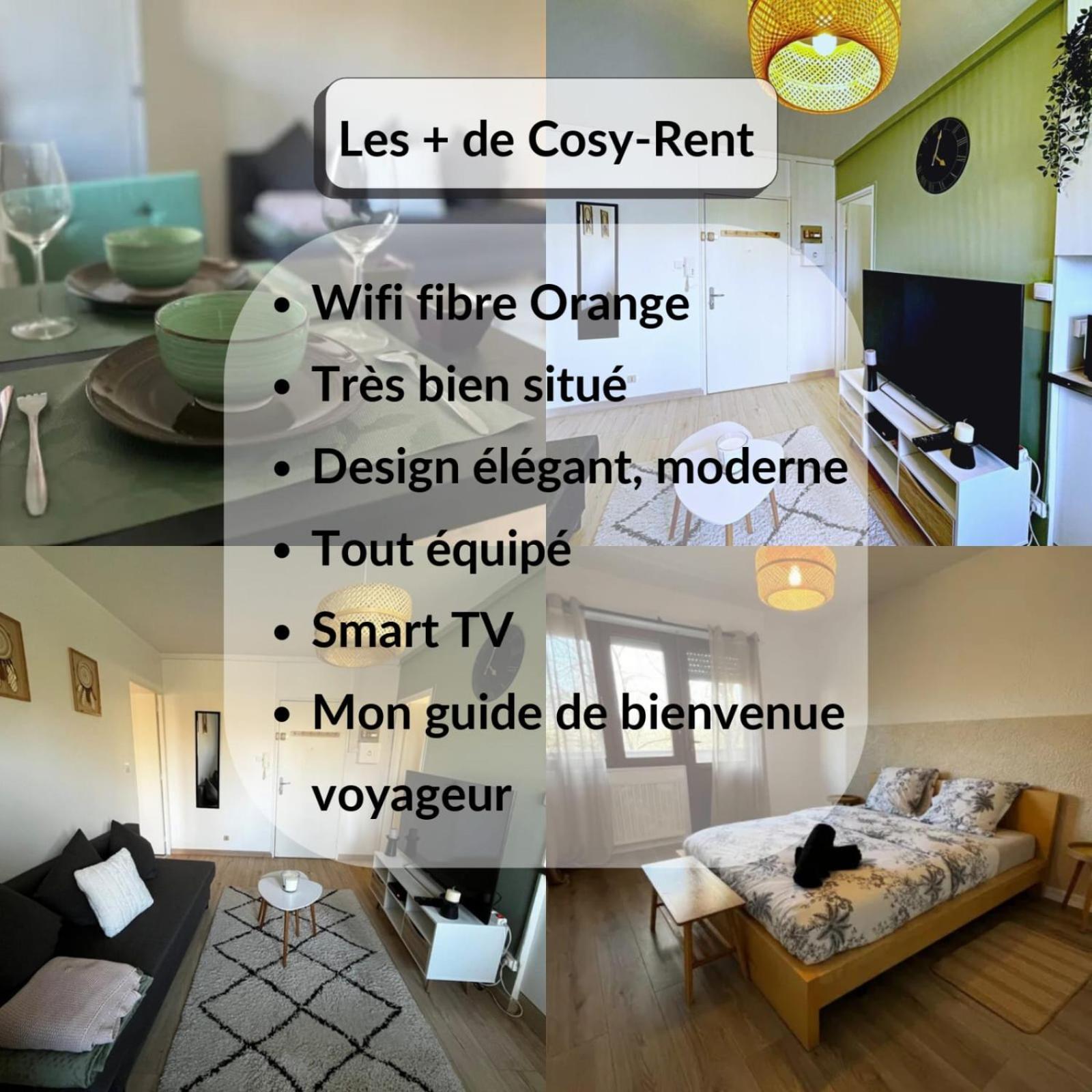 Cosy Rent Strasbourg Appartement Wifi Terrasse Экстерьер фото